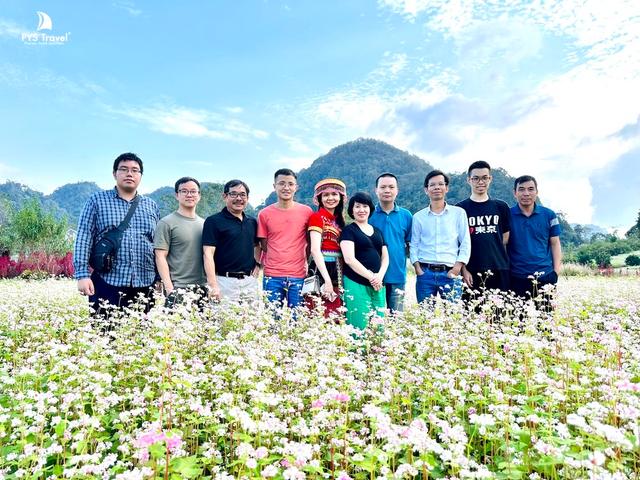 Em nhất định phải đến Hà Giang để ngắm hoa tam giác mạch nở rộ khắp trời!