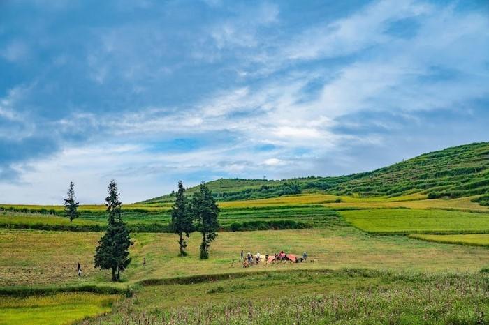 Du lịch Suôi Thầu Hà Giang mùa lúa Du lịch Suôi Thầu Hà Giang mùa lúa