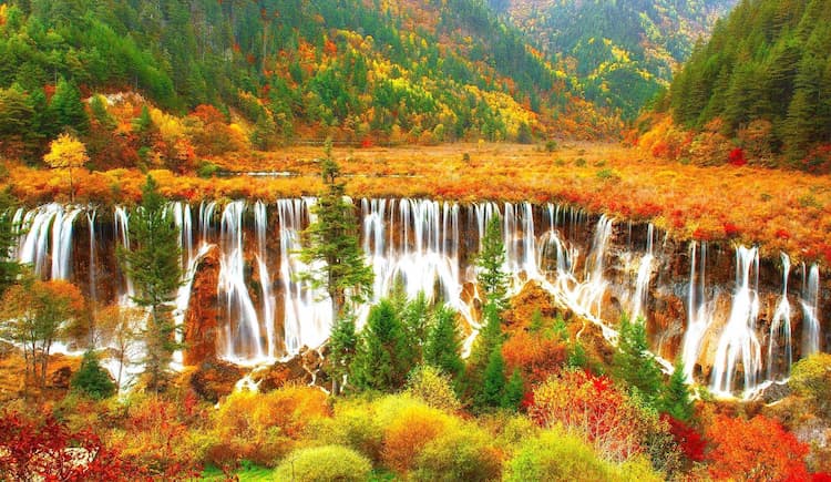 Tour Trung Quốc mùa thu vàng 2026: Thành Đô - Cửu Trại Câu - Lạc Sơn Đại Phật 6 ngày 5 đêm từ TP.HCM (No Shopping)