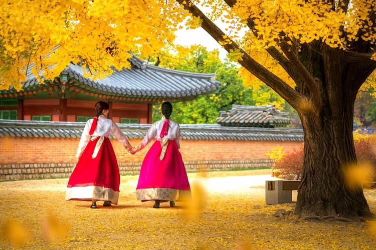 Tour Hàn Quốc mùa thu vàng 2026: Seoul - Nami - Korean Folk Village - Starfield Library 5 ngày 4 đêm từ Hà Nội - bay Sun PhuQuoc Airways