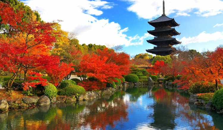 Tour Nhật Bản mùa thu 2026: Osaka - Kobe - Kyoto - Núi Phú Sĩ - Tokyo 6 ngày 5 đêm từ Hà Nội