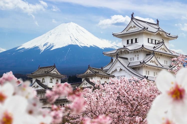 Tour Nhật Bản mùa hoa anh đào 2027: Tokyo - Phú Sĩ - Nagoya - Kyoto - Osaka 6 ngày 5 đêm từ Hà Nội