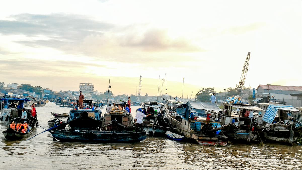 cho noi cai rang 2.jpg