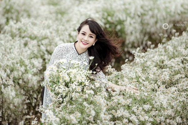 Chụp cúc họa mi Hà Nội: Nếu bạn đang tìm kiếm những bức ảnh hoa cúc họa mi Hà Nội đẹp nhất, hãy đến ngay với chúng tôi. Chúng tôi sẽ giới thiệu đến bạn những điểm chụp ảnh tuyệt đẹp và đầy nghệ thuật để tái hiện hình ảnh những bông hoa đặc trưng của Hà Nội.