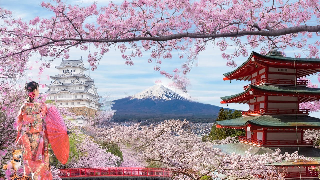 Tour du lịch Nhật Bản: Hà Nội - Tokyo - Osaka - Kyoto - Núi Phú Sĩ 6 ngày 5  đêm - PYS Travel