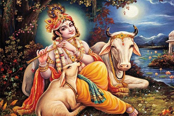 Thần bò Nandi là vật cưỡi của thần Shiva, là một trong ba vị thần tối cao của Ấn Độ giáo