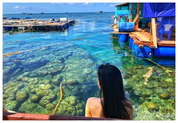 màu nước trong vắt Đảo Phú Quý