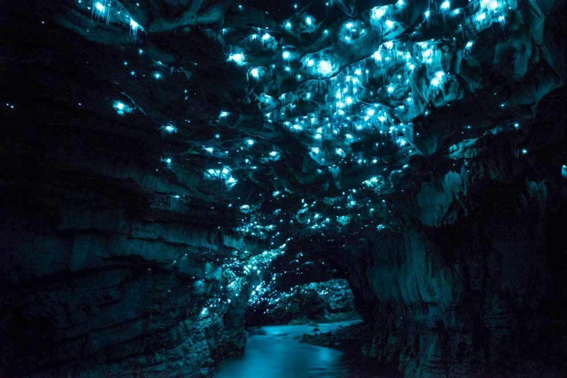 new-zealand-waitomo-glowworm-caves.jpg
