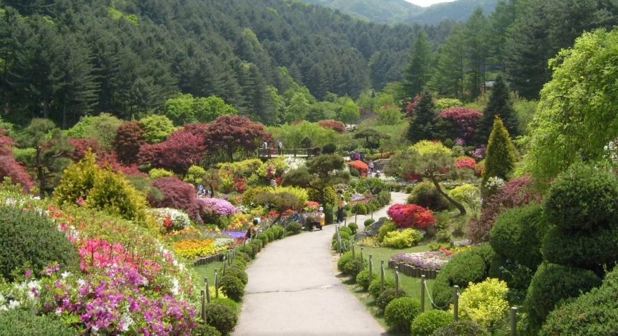 kr_Garden-of-Morning-Calm-South-Korea.jpg