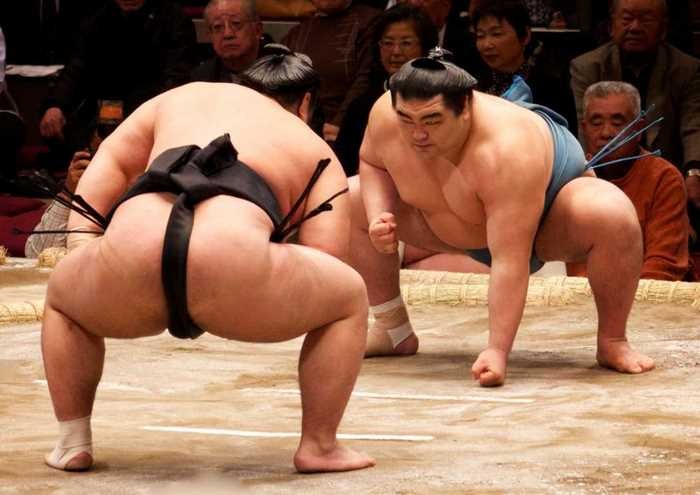 Sumo là môn thể thao quốc gia của Nhật Bản