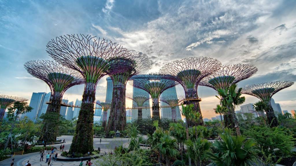 gardens by the bay singapore pystravel